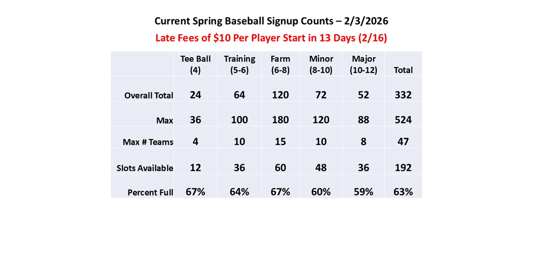 Spring Baseball Counts
