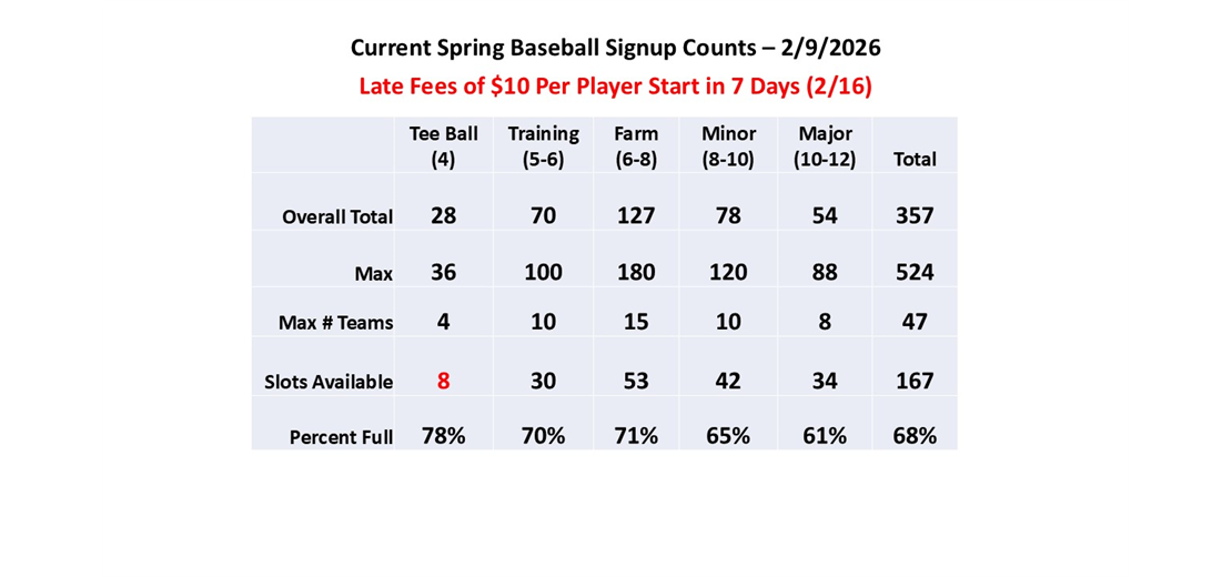 Spring Baseball Counts