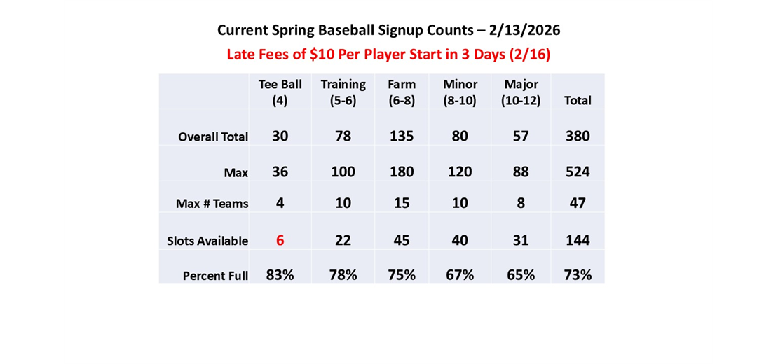 Spring Baseball Counts