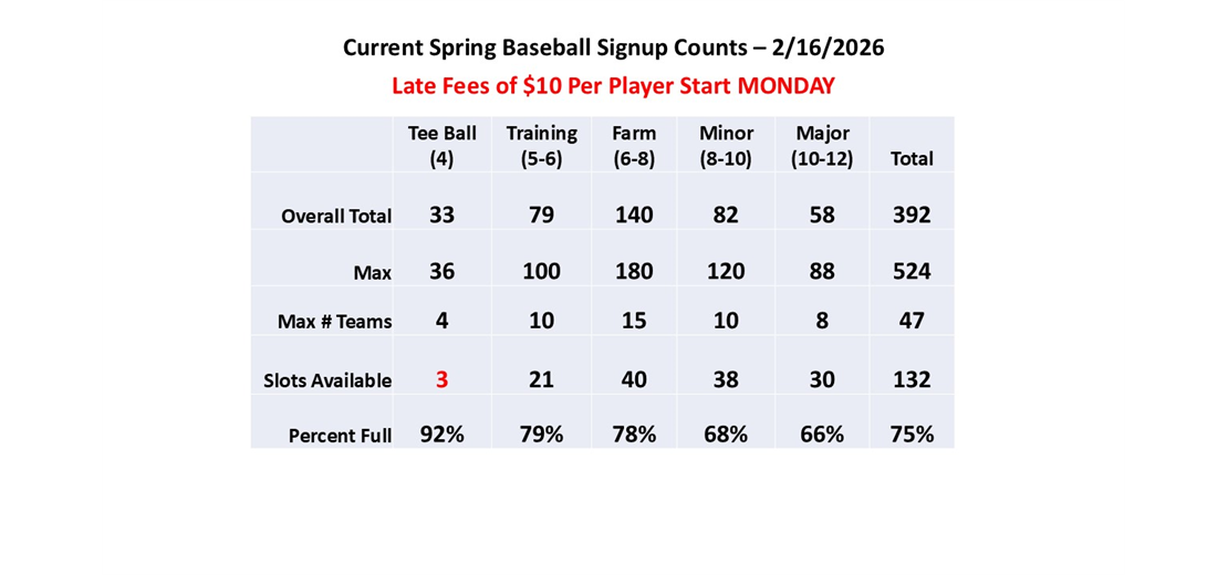 Spring Baseball Counts