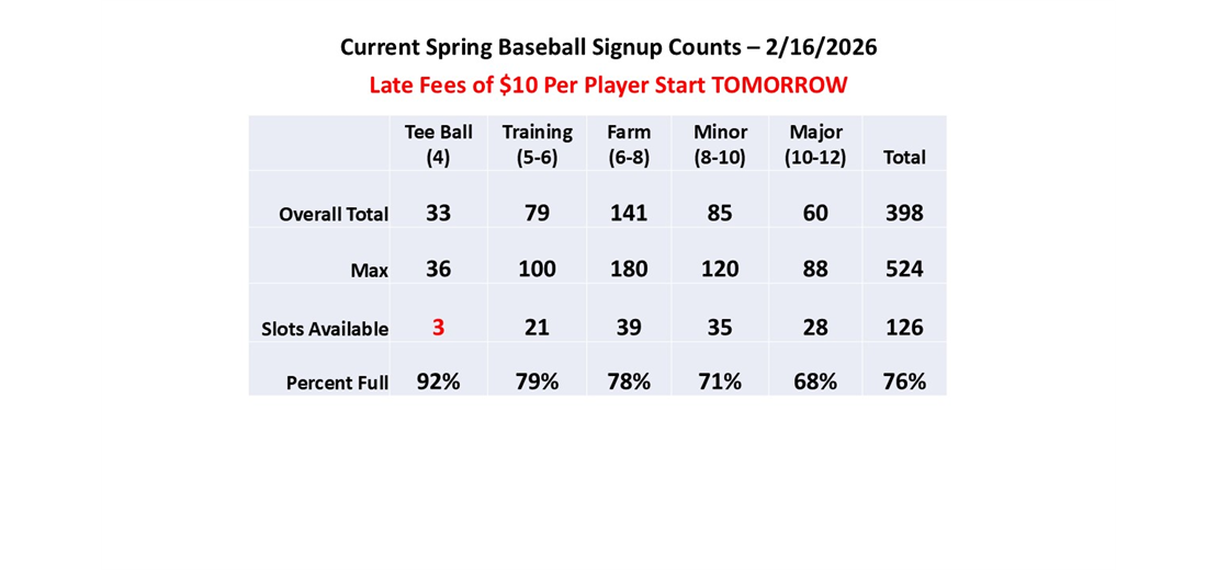Spring Baseball Counts