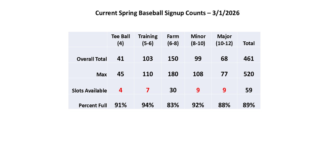 Spring Baseball Counts