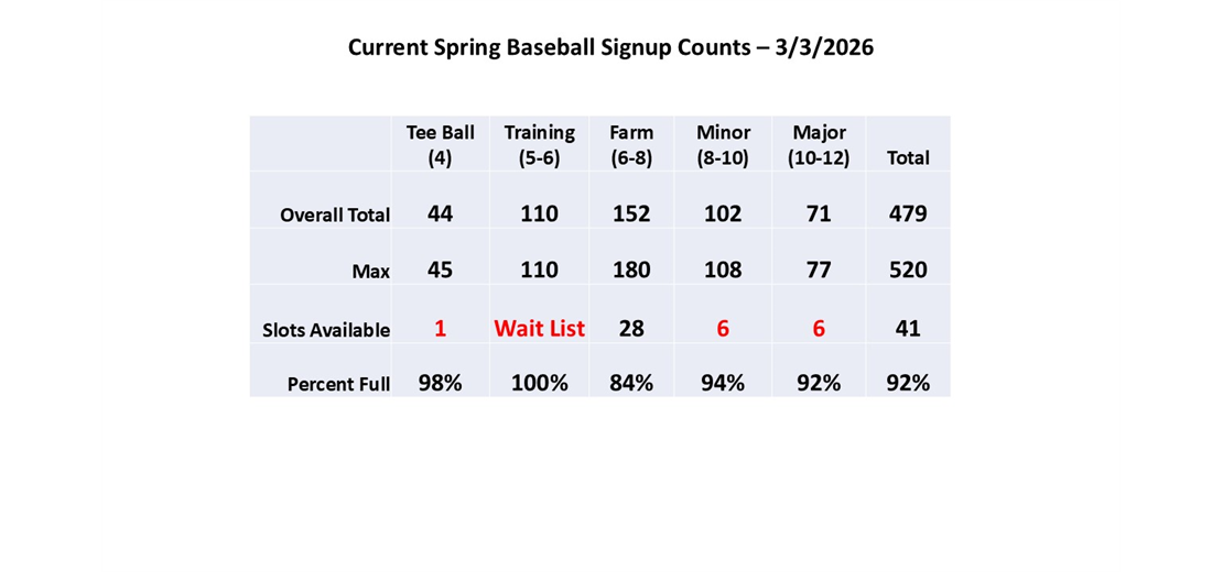 Spring Baseball Counts