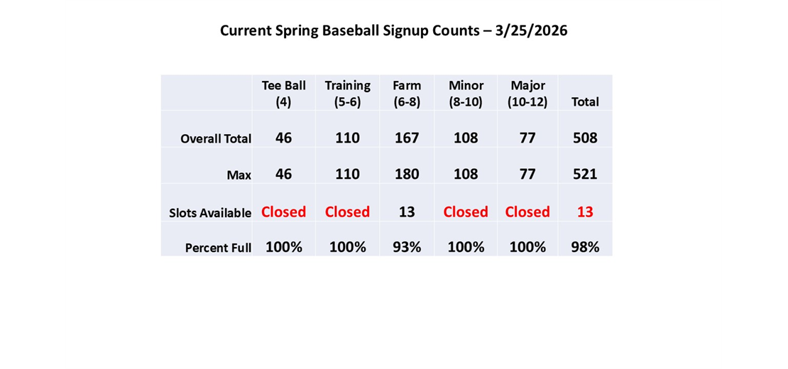Spring Baseball Counts